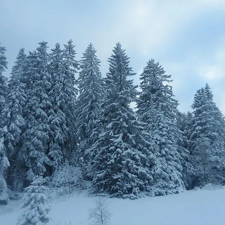 Grischalodge Mit Bergblick Seit 1929 - Schlicht, Preiswert Und Mit Einem Touch Nostalgie * Parpan