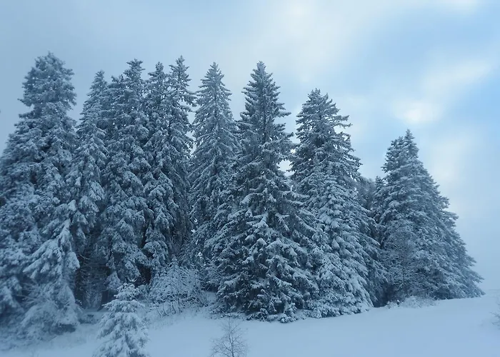 Grischalodge Mit Bergblick Seit 1929 - Schlicht, Preiswert Und Mit Einem Touch Nostalgie * Parpan