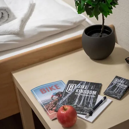 Grischalodge Mit Bergblick Seit 1929 - Schlicht, Preiswert Und Mit Einem Touch Nostalgie *