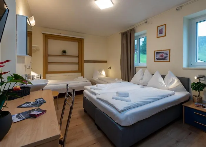 Grischalodge Mit Bergblick Seit 1929 - Schlicht, Preiswert Und Mit Einem Touch Nostalgie *