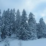 Grischalodge Mit Bergblick Seit 1929 - Schlicht, Preiswert Und Mit Einem Touch Nostalgie * Parpan